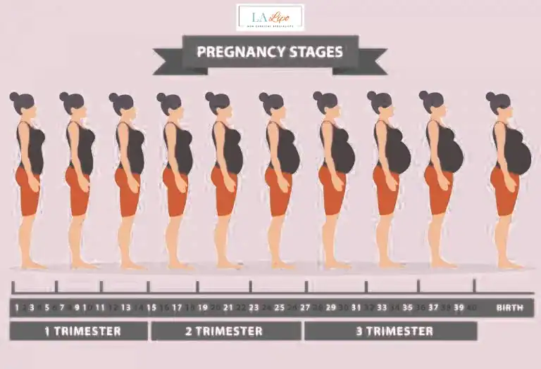First Trimester (Weeks 1–12): Early Changes You Might Not Notice Salford